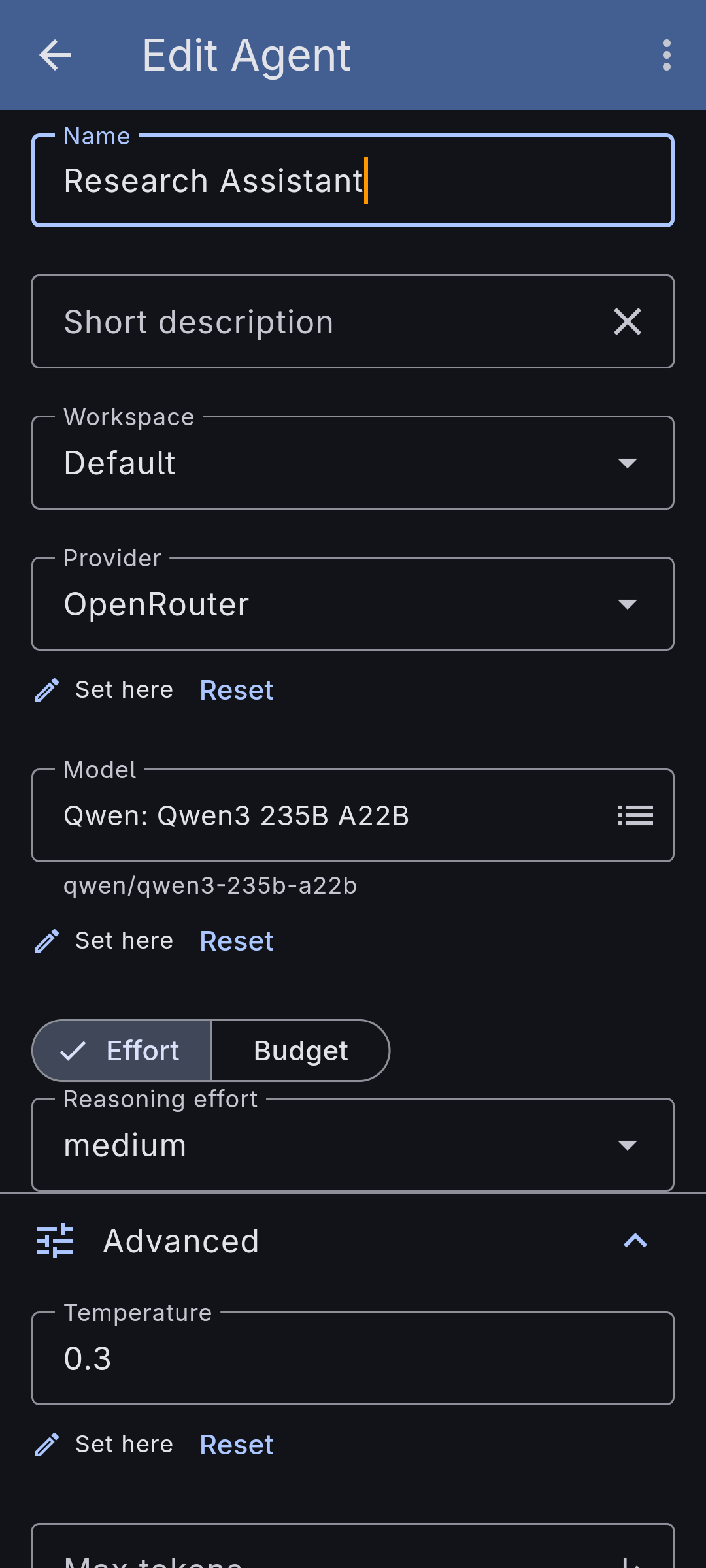 The agent form, where a provider, model, prompt, and tools become an agent